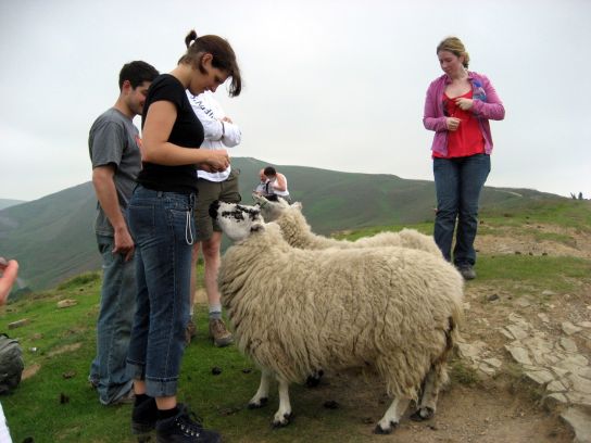 edale110
