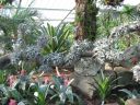 kew_gardens037