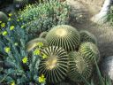 kew_gardens040