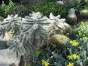 kew_gardens041