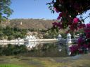 udaipur159
