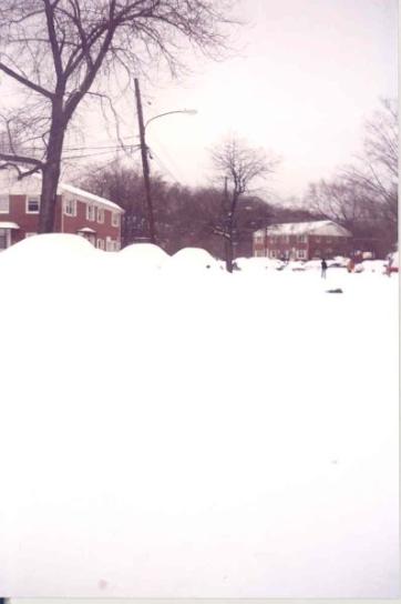 cars_snow