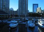 toronto_harbor_front_1a