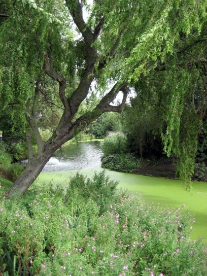 regents_park047