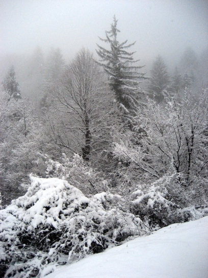 winter_gorjanci160