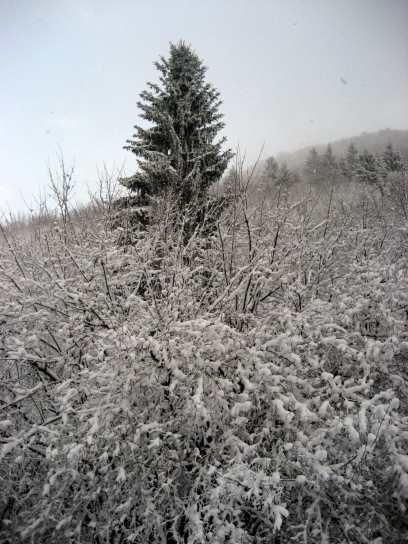 winter_gorjanci161