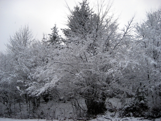 winter_gorjanci163