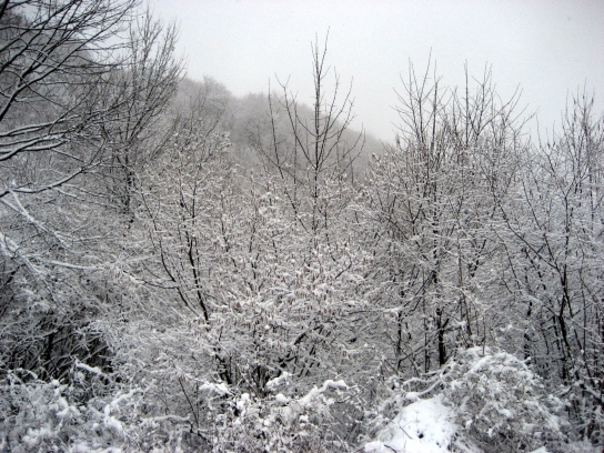 winter_gorjanci165
