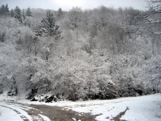 winter_gorjanci166