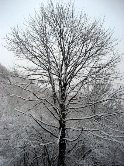 winter_gorjanci168