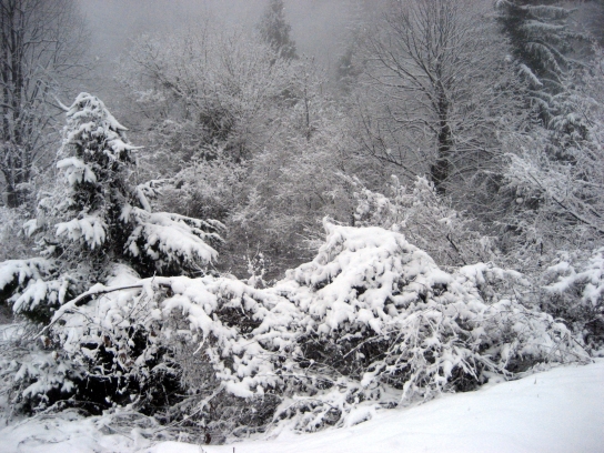 winter_gorjanci172