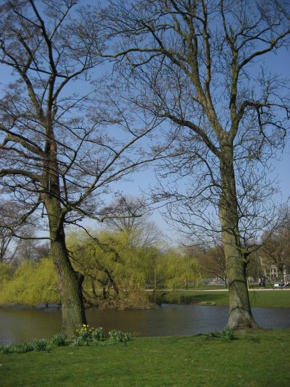 amsterdam049