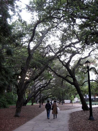 berkeley003