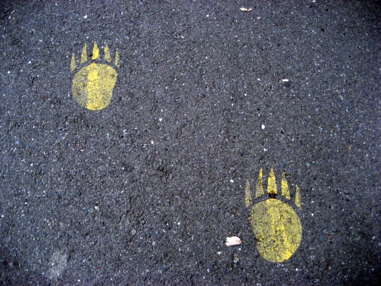 berkeley009