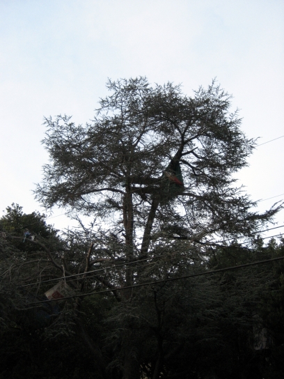 berkeley013