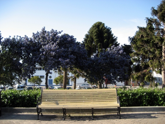 berkeley023