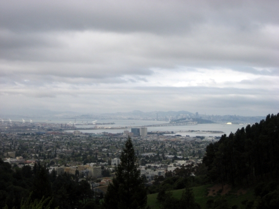 berkeley037