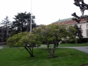 berkeley005