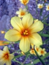 berkeley073