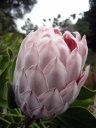 berkeley090
