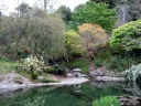 berkeley104