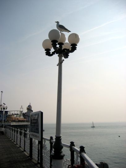 brighton038