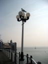 brighton038