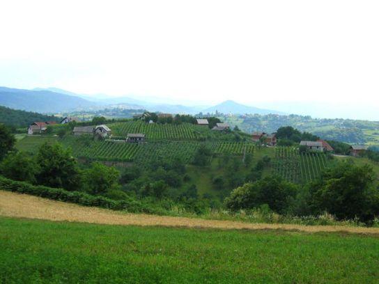 gaberje_2