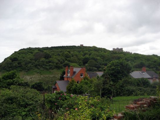 dover019
