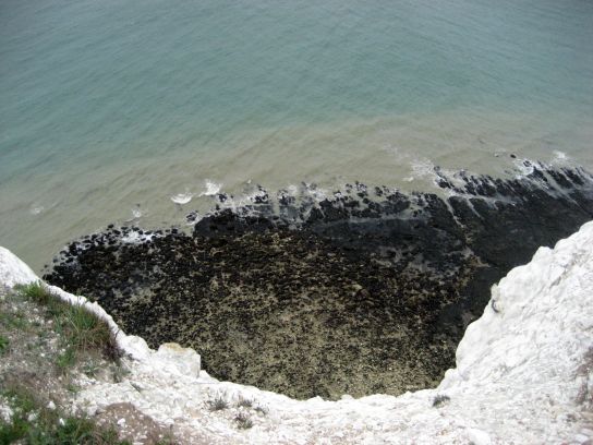 dover037