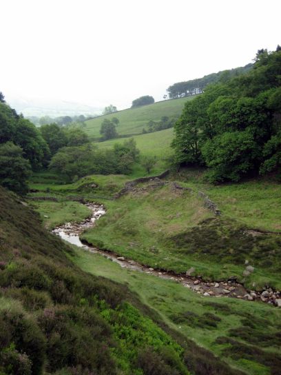 edale016