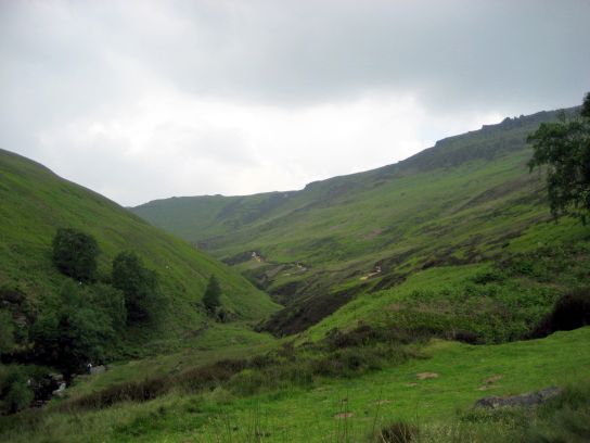 edale017