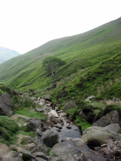 edale019