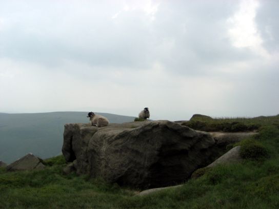 edale048
