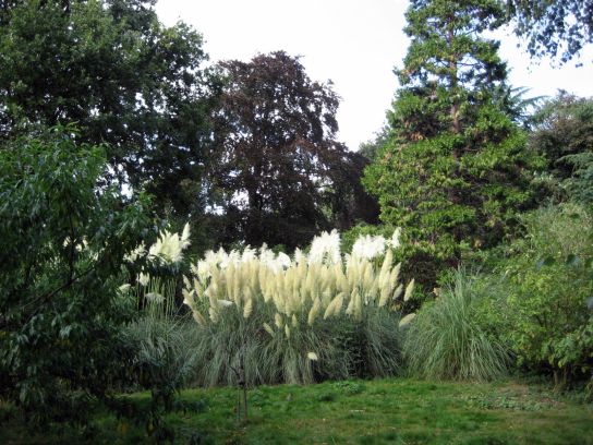 holland_park002