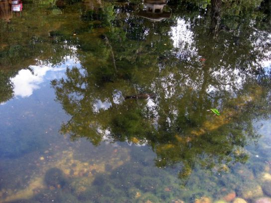 holland_park007