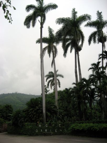 jamaica216