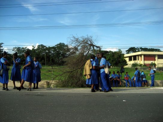 jamaica225