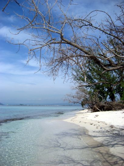 jamaica255