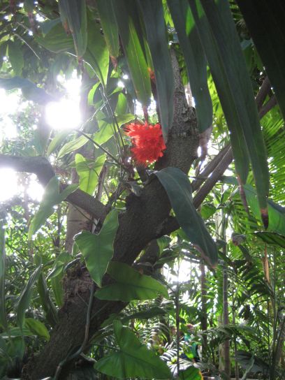 kew_gardens003