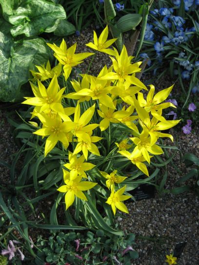 kew_gardens016
