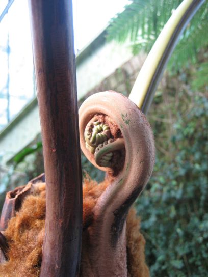 kew_gardens020