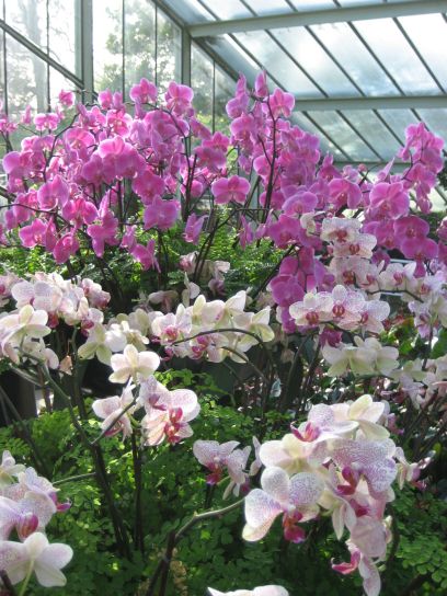 kew_gardens027