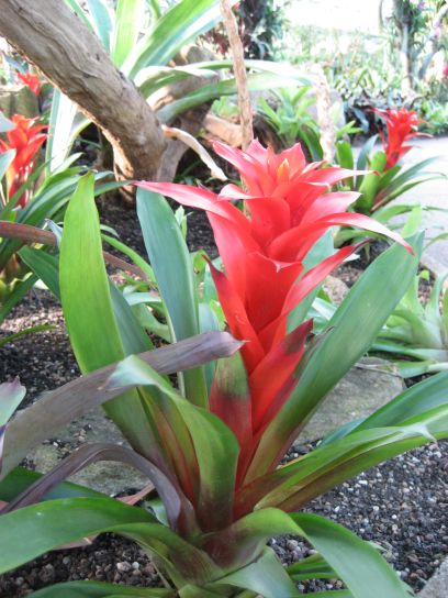 kew_gardens034