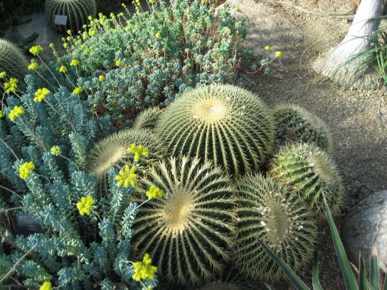 kew_gardens040