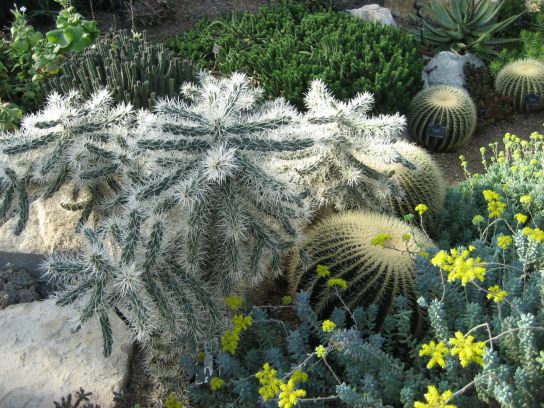 kew_gardens041