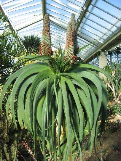 kew_gardens043