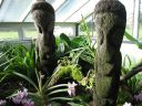 kew_gardens022