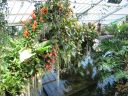 kew_gardens033