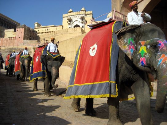 jaipur112